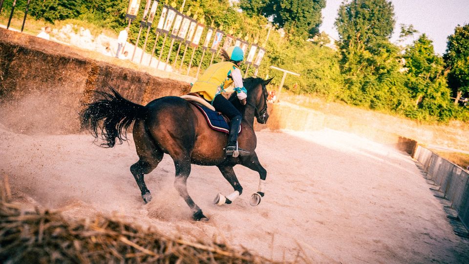 Fotografia del Palio dell'Oca di Cagli